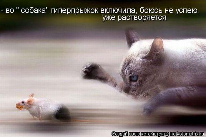 - во " собака" гиперпрыжок включила, боюсь не успею, уже растворяется... Котоматрица: - во " собака" гиперпрыжок включила, боюсь не успею, уже растворяется