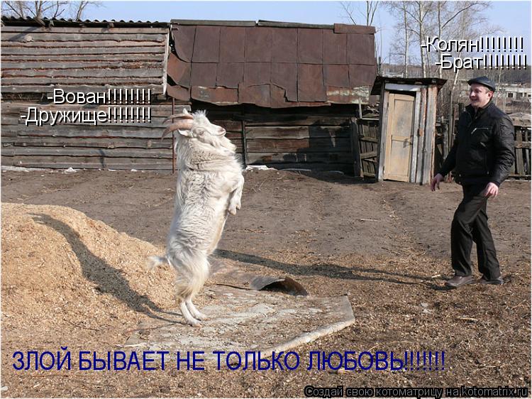 -Вован!!!!!!!! -Колян!!!!!!!! -Дружище!!!!!!!! -Брат!!!!!!!! ЗЛОЙ БЫВАЕТ НЕ ТОЛЬКО ЛЮБОВЬ!!!!!!!... Котоматрица: -Вован!!!!!!!! -Колян!!!!!!!! -Дружище!!!!!!!! -Брат!!!!!!!! ЗЛОЙ БЫВАЕТ НЕ ТОЛЬКО ЛЮБОВЬ!!!!!!!
