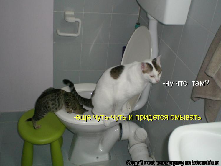 -ну что, там? -еще чуть-чуть и придется смывать... Котоматрица: -ну что, там? -еще чуть-чуть и придется смывать
