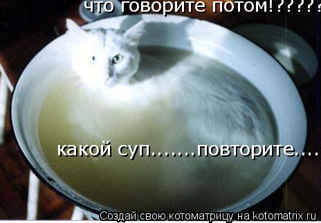 что говорите потом!???????? какой суп.......повторите.....!!!!!!!!!!!!!... Котоматрица: что говорите потом!???????? какой суп.......повторите.....!!!!!!!!!!!!!