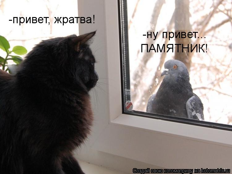 -привет, жратва! -ну привет... ПАМЯТНИК!... Котоматрица: -привет, жратва! -ну привет... ПАМЯТНИК!