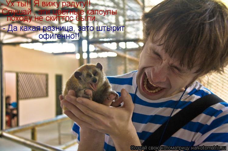 - Ух ты!! Я вижу радугу!! Слушай , эти цветные капсулы походу не скиттлс были. - Да какая разница, з... Котоматрица: - Ух ты!! Я вижу радугу!! Слушай , эти цветные капсулы походу не скиттлс были. - Да какая разница, зато штырит офигенно!!