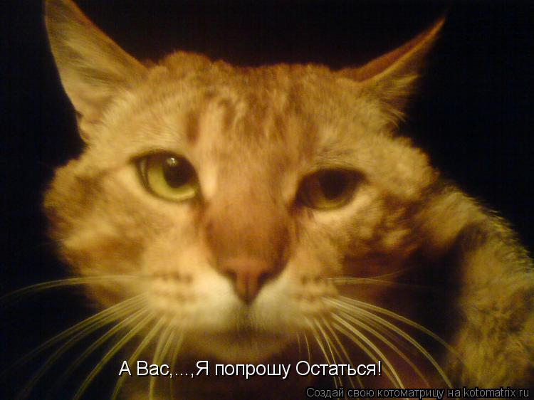 А Вас,...,Я попрошу Остаться!... Котоматрица: А Вас,...,Я попрошу Остаться!