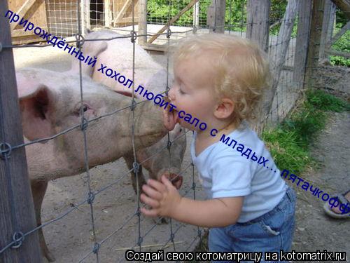 прирождённый хохол любит сало с младых... пятачкофф!... Котоматрица: прирождённый хохол любит сало с младых... пятачкофф!