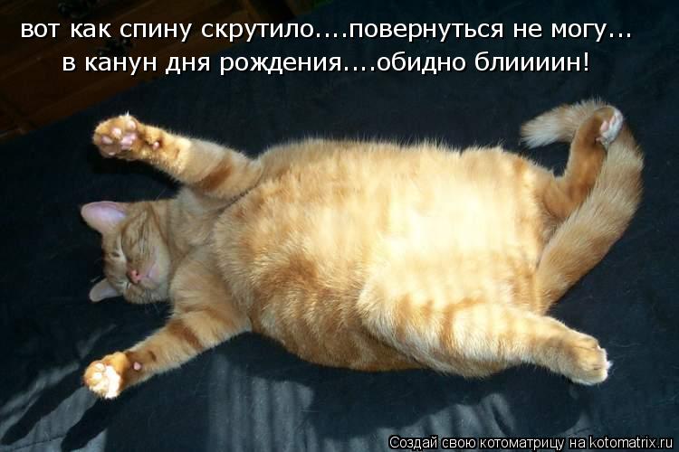 вот как спину скрутило....повернуться не могу... в канун дня рождения....обидно блиииин!... Котоматрица: вот как спину скрутило....повернуться не могу... в канун дня рождения....обидно блиииин!