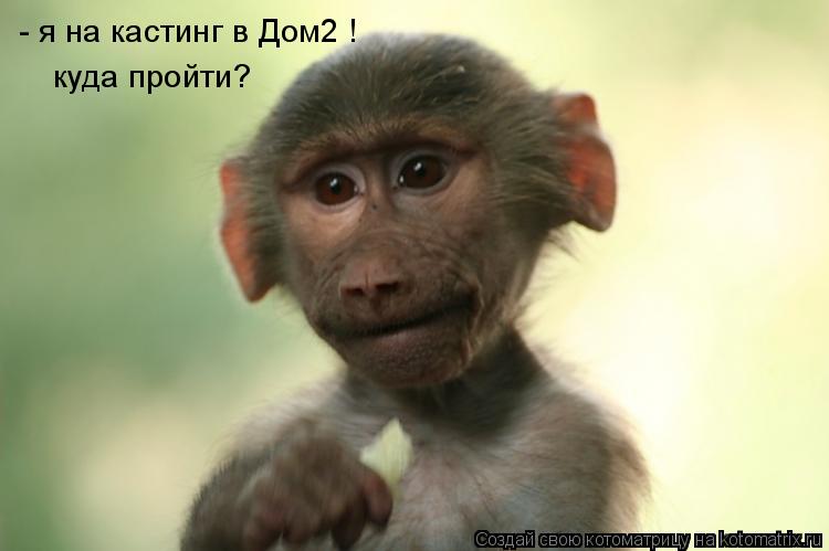 - я на кастинг в Дом2 ! куда пройти?... Котоматрица: - я на кастинг в Дом2 ! куда пройти?