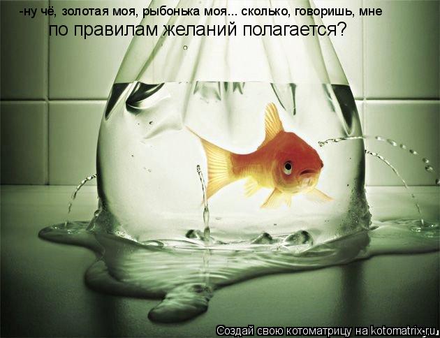 -ну чё, золотая моя, рыбонька моя... сколько, говоришь, мне по правилам желаний полагается?... Котоматрица: -ну чё, золотая моя, рыбонька моя... сколько, говоришь, мне по правилам желаний полагается?