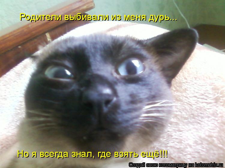 Родители выбивали из меня дурь... Но я всегда знал, где взять ещё!!!... Котоматрица: Родители выбивали из меня дурь... Но я всегда знал, где взять ещё!!!