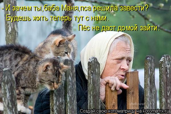 - И зачем ты,баба Маня,пса решила завести? Будешь жить теперь тут с нами. Пёс не даст домой зайти.... Котоматрица: - И зачем ты,баба Маня,пса решила завести? Будешь жить теперь тут с нами. Пёс не даст домой зайти.