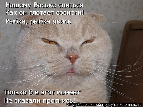 Нашему Ваське сниться Как он глотает сосиски! Рыбка, рыбка явись Только б в этот момент Не сказали пр... Котоматрица: Нашему Ваське сниться Как он глотает сосиски! Рыбка, рыбка явись Только б в этот момент Не сказали проснись!