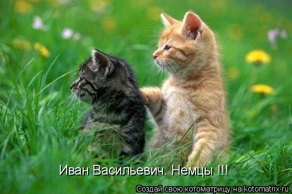 Иван Васильевич. Немцы !!!... Котоматрица: Иван Васильевич. Немцы !!!