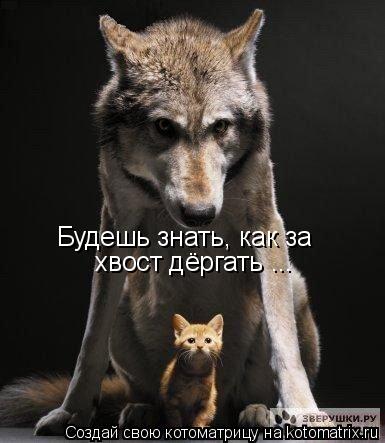 Будешь знать, как за хвост дёргать ...... Котоматрица: Будешь знать, как за хвост дёргать ...