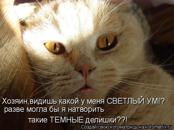 разве могла бы я натворить Хозяин,видишь какой у меня СВЕТЛЫЙ УМ!? такие ТЕМНЫЕ делишки??!... Котоматрица: разве могла бы я натворить Хозяин,видишь какой у меня СВЕТЛЫЙ УМ!? такие ТЕМНЫЕ делишки??!