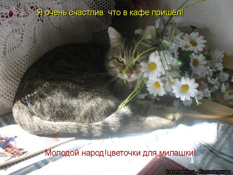 Я очень счастлив что в кафе пришёл! Молодой народ!цветочки для милашки!... Котоматрица: Я очень счастлив что в кафе пришёл! Молодой народ!цветочки для милашки!