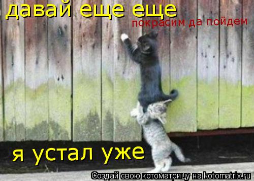 давай еще еще давай еще еще я устал уже я устал уже покрасим да пойдем... Котоматрица: давай еще еще давай еще еще я устал уже я устал уже покрасим да пойдем