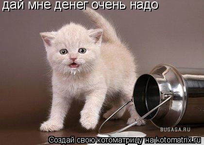 дай мне денег очень надо... Котоматрица: дай мне денег очень надо