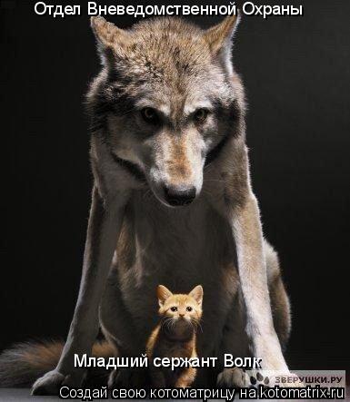 Отдел Вневедомственной Охраны Младший сержант Волк... Котоматрица: Отдел Вневедомственной Охраны Младший сержант Волк