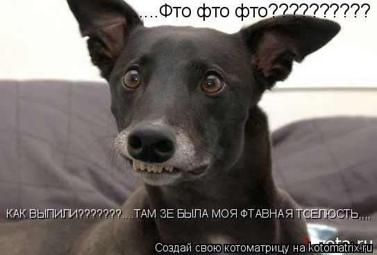 .....Фто фто фто?????????? КАК ВЫПИЛИ???????....ТАМ ЗЕ БЫЛА МОЯ ФТАВНАЯ ТСЕЛЮСТЬ,,,,... Котоматрица: .....Фто фто фто?????????? КАК ВЫПИЛИ???????....ТАМ ЗЕ БЫЛА МОЯ ФТАВНАЯ ТСЕЛЮСТЬ,,,,