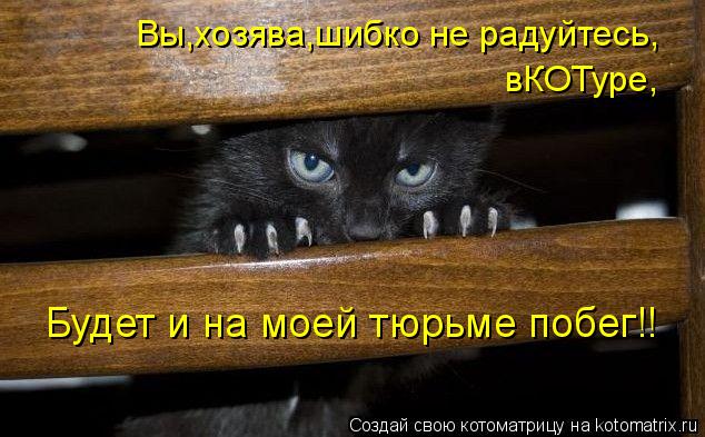 Вы,хозява,шибко не радуйтесь, вКОТуре, Будет и на моей тюрьме побег!!... Котоматрица: Вы,хозява,шибко не радуйтесь, вКОТуре, Будет и на моей тюрьме побег!!