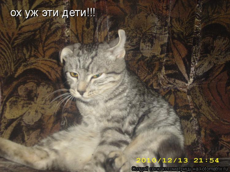 ох уж эти дети!!!... Котоматрица: ох уж эти дети!!!