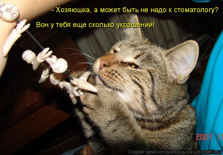 - Хозяюшка, а может быть не надо к стоматологу? Вон у тебя еще сколько украшений!... Котоматрица: - Хозяюшка, а может быть не надо к стоматологу? Вон у тебя еще сколько украшений!