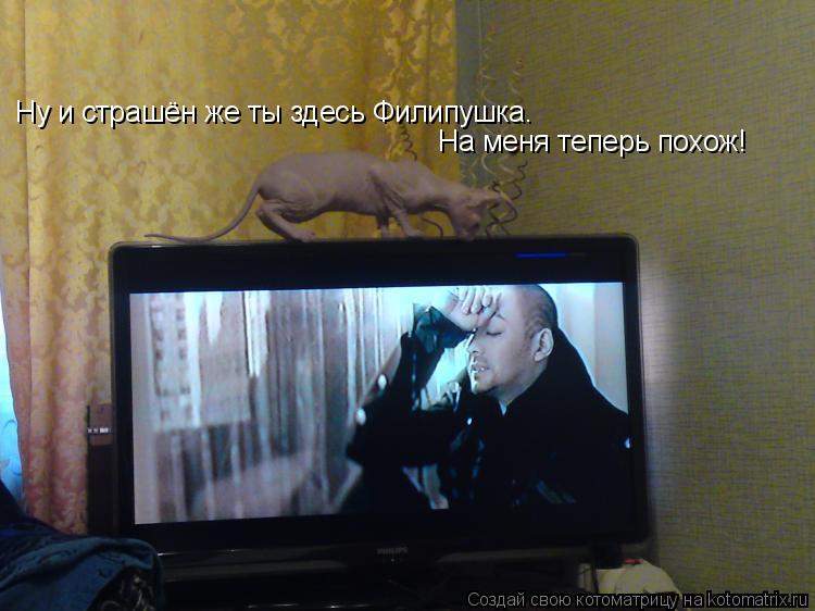Ну и страшён же ты здесь Филипушка. На меня теперь похож!... Котоматрица: Ну и страшён же ты здесь Филипушка. На меня теперь похож!