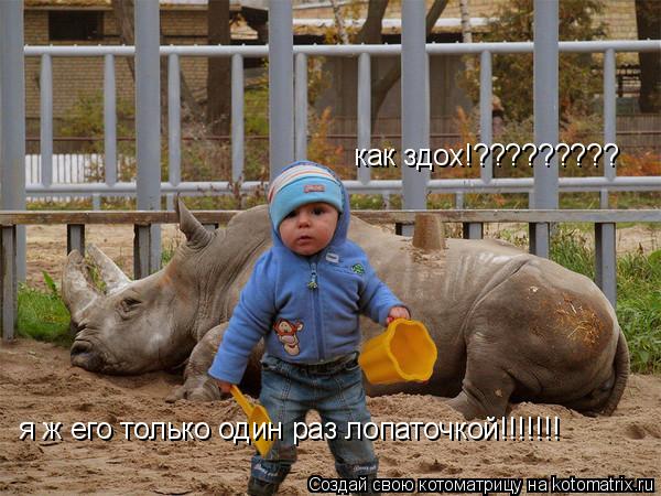 как здох!????????? я ж его только один раз лопаточкой!!!!!!!... Котоматрица: как здох!????????? я ж его только один раз лопаточкой!!!!!!!