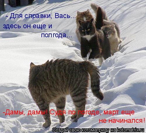 -Дамы, дамы! Судя по погоде, март еще не начинался! - Для справки, Вась... здесь он еще и полгода.... Котоматрица: -Дамы, дамы! Судя по погоде, март еще не начинался! - Для справки, Вась... здесь он еще и полгода...