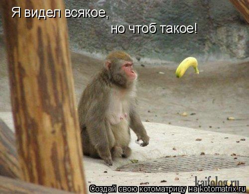 Я видел всякое, но чтоб такое!... Котоматрица: Я видел всякое, но чтоб такое!