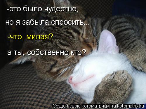 -это было чудестно, но я забыла спросить... -что, милая? а ты, собственно кто?... Котоматрица: -это было чудестно, но я забыла спросить... -что, милая? а ты, собственно кто?