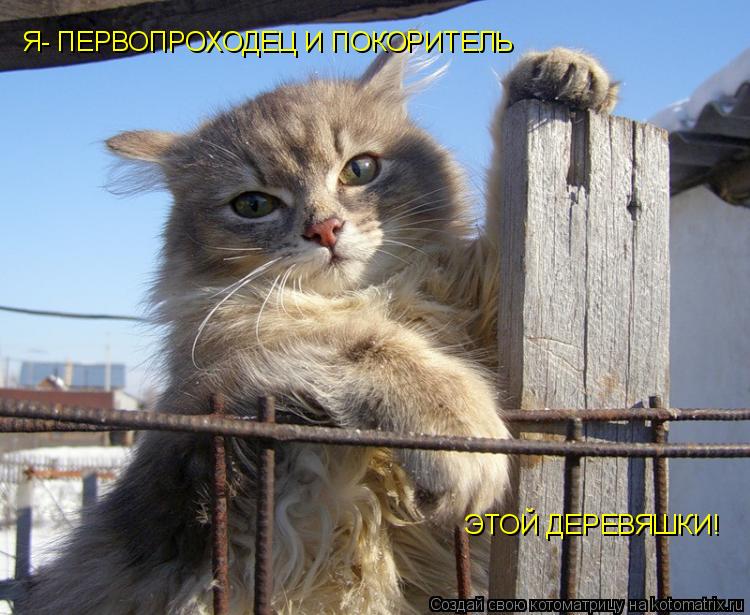 Я- ПЕРВОПРОХОДЕЦ И ПОКОРИТЕЛЬ ЭТОЙ ДЕРЕВЯШКИ!... Котоматрица: Я- ПЕРВОПРОХОДЕЦ И ПОКОРИТЕЛЬ ЭТОЙ ДЕРЕВЯШКИ!