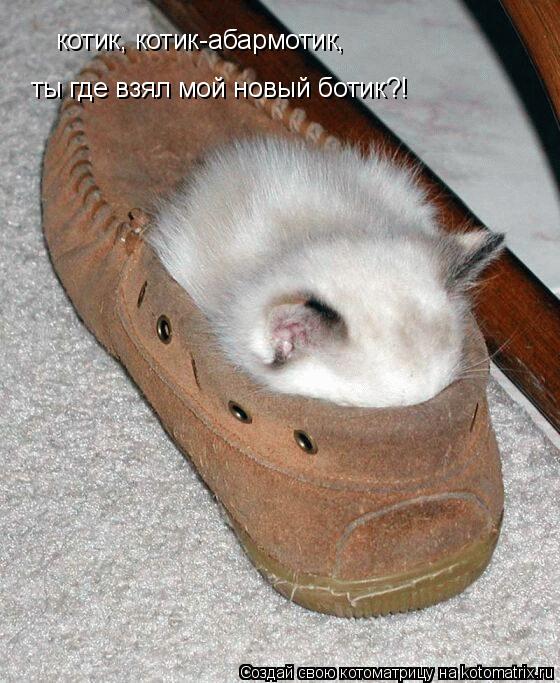 котик, котик-абармотик, ты где взял мой новый ботик?!... Котоматрица: котик, котик-абармотик, ты где взял мой новый ботик?!