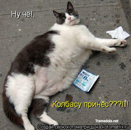 Ну чё!, Колбасу принёс???!!!... Котоматрица: Ну чё!, Колбасу принёс???!!!