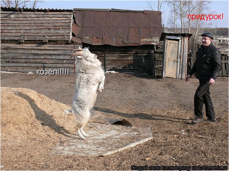 козёл!!!!! придурок!... Котоматрица: козёл!!!!! придурок!