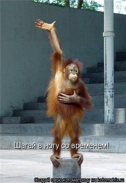 Шагай в ногу со временем!... Котоматрица: Шагай в ногу со временем!