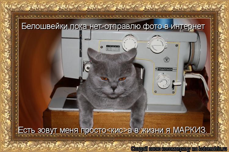 Белошвейки пока нет-отправлю фото в интернет Есть зовут меня просто<кис>а в жизни я МАРКИЗ.... Котоматрица: Белошвейки пока нет-отправлю фото в интернет Есть зовут меня просто<кис>а в жизни я МАРКИЗ.