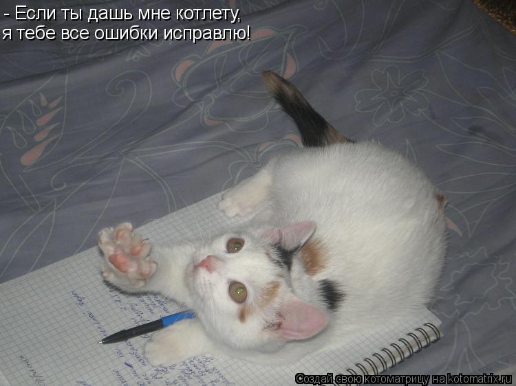 - Если ты дашь мне котлету, я тебе все ошибки исправлю!... Котоматрица: - Если ты дашь мне котлету, я тебе все ошибки исправлю!
