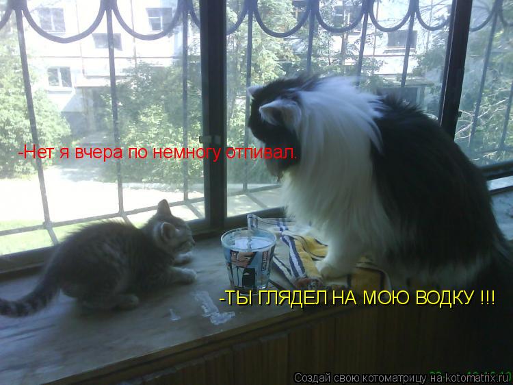 -ТЫ ГЛЯДЕЛ НА МОЮ ВОДКУ !!! -Нет я вчера по немногу отпивал.... Котоматрица: -ТЫ ГЛЯДЕЛ НА МОЮ ВОДКУ !!! -Нет я вчера по немногу отпивал.