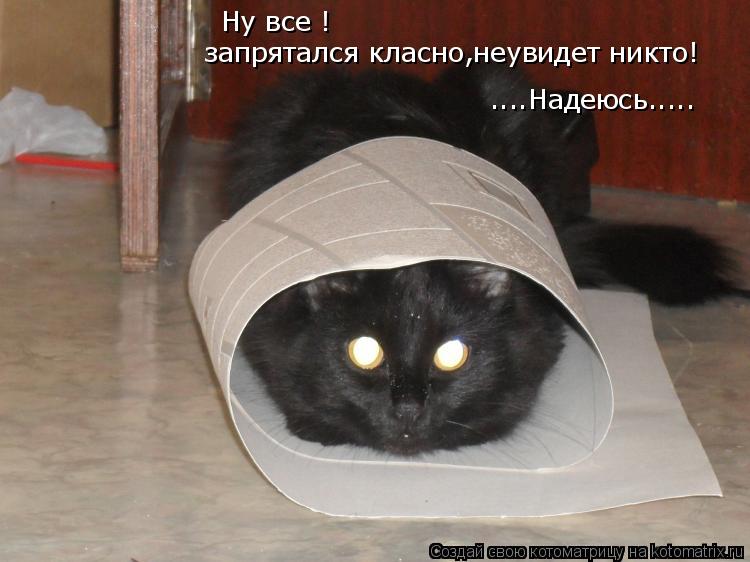 Ну все ! запрятался класно,неувидет никто! ....Надеюсь........ Котоматрица: Ну все ! запрятался класно,неувидет никто! ....Надеюсь.....