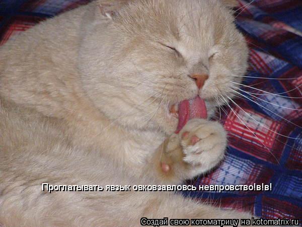Проглатывать явзык овковзавловсь невпровство!в!в!... Котоматрица: Проглатывать явзык овковзавловсь невпровство!в!в!