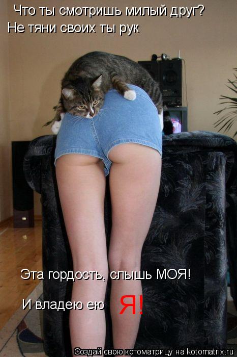 Не тяни своих ты рук Что ты смотришь милый друг? Эта гордость, слышь МОЯ! И владею ею Я!... Котоматрица: Не тяни своих ты рук Что ты смотришь милый друг? Эта гордость, слышь МОЯ! И владею ею Я!