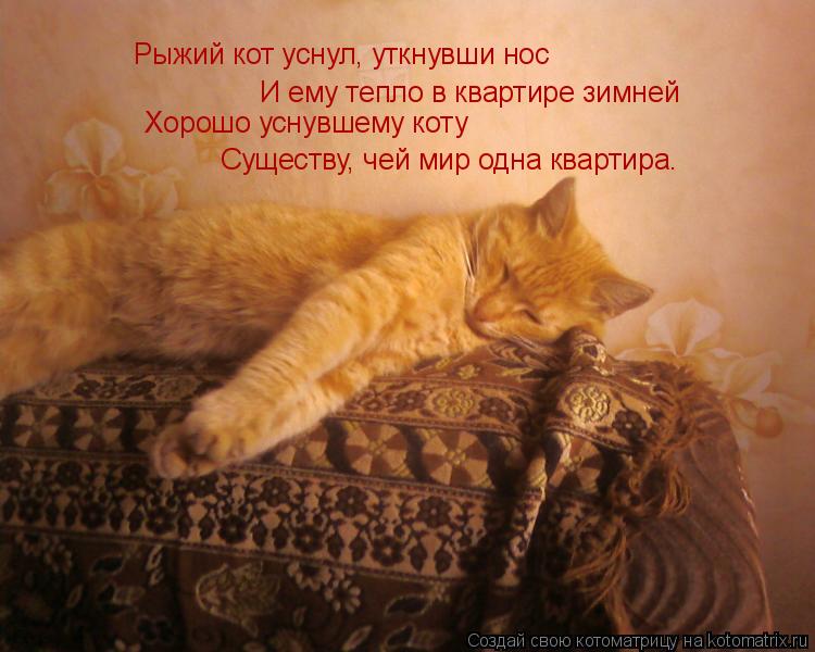 Рыжий кот уснул, уткнувши нос И ему тепло в квартире зимней Хорошо уснувшему коту Существу, чей мир ... Котоматрица: Рыжий кот уснул, уткнувши нос И ему тепло в квартире зимней Хорошо уснувшему коту Существу, чей мир одна квартира.