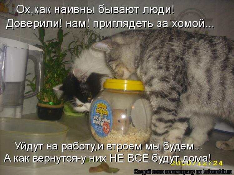 Ох,как наивны бывают люди! Доверили! нам! приглядеть за хомой... Уйдут на работу,и втроем мы будем...... Котоматрица: Ох,как наивны бывают люди! Доверили! нам! приглядеть за хомой... Уйдут на работу,и втроем мы будем... А как вернутся-у них НЕ ВСЕ будут дома!