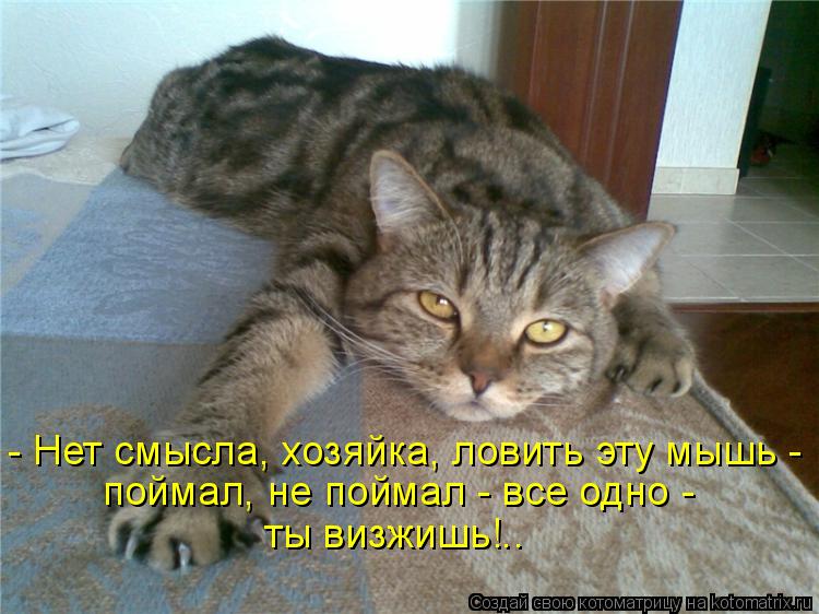 - Нет смысла, хозяйка, ловить эту мышь - поймал, не поймал - все одно - ты визжишь!..... Котоматрица: - Нет смысла, хозяйка, ловить эту мышь - поймал, не поймал - все одно - ты визжишь!..