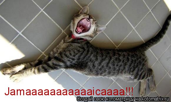Jamaaaaaaaaaaaicaaaa!!!... Котоматрица: Jamaaaaaaaaaaaicaaaa!!!