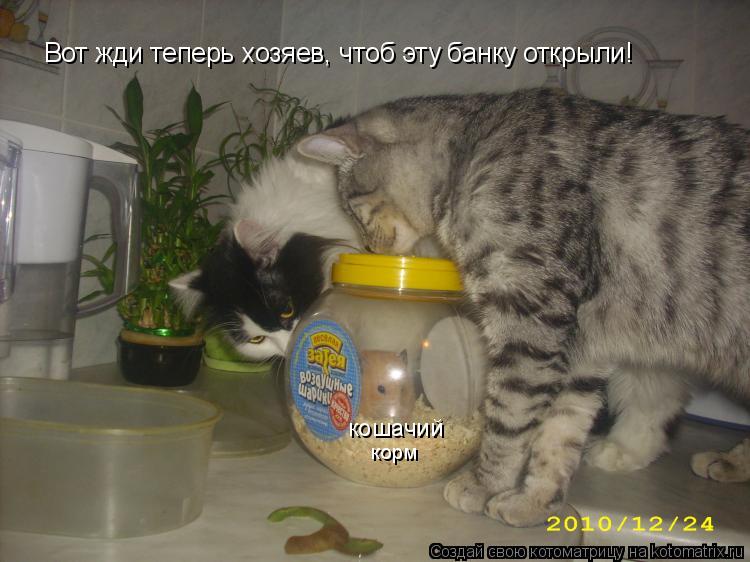 кошачий корм Вот жди теперь хозяев, чтоб эту банку открыли!... Котоматрица: кошачий корм Вот жди теперь хозяев, чтоб эту банку открыли!