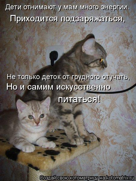 Не только деток от грудного отучать, Дети отнимают у мам много энергии. Приходится подзаряжаться, Но ... Котоматрица: Не только деток от грудного отучать, Дети отнимают у мам много энергии. Приходится подзаряжаться, Но и самим искусственно питаться!
