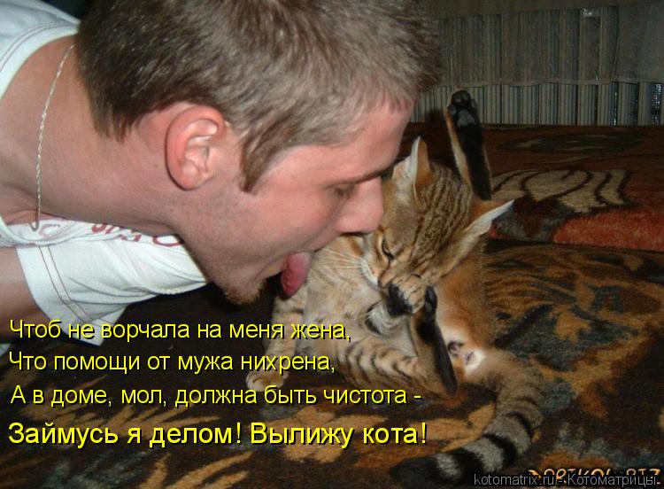 Чтоб не ворчала на меня жена, Что помощи от мужа нихрена, А в доме, мол, должна быть чистота - Займ... Котоматрица: Чтоб не ворчала на меня жена, Что помощи от мужа нихрена, А в доме, мол, должна быть чистота - Займусь я делом! Вылижу кота!