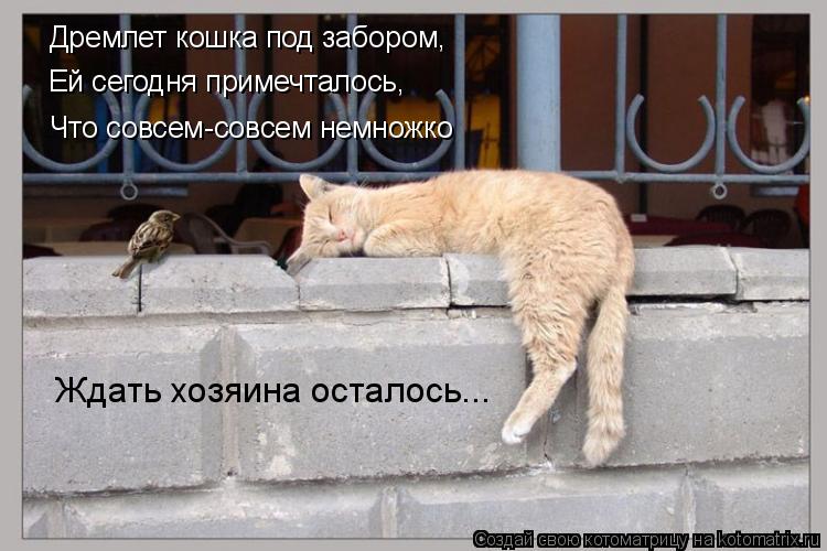 Дремлет кошка под забором, Ей сегодня примечталось, Что совсем-совсем немножко Ждать хозяина осталось... Котоматрица: Дремлет кошка под забором, Ей сегодня примечталось, Что совсем-совсем немножко Ждать хозяина осталось...