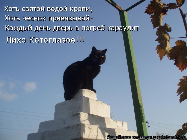 Котоматрица: Хоть святой водой кропи, Хоть чеснок привязывай- Каждый день дверь в погреб караулит Лихо Котоглазое!!!